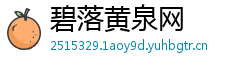 碧落黄泉网